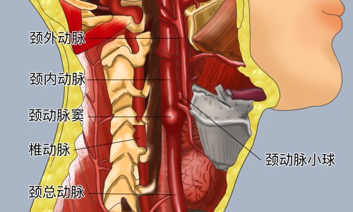 大宝眼袋霜的功效和作用-【大宝眼霜效果怎么样】大宝眼袋霜能去眼袋吗 - 大宝眼袋霜的功效网